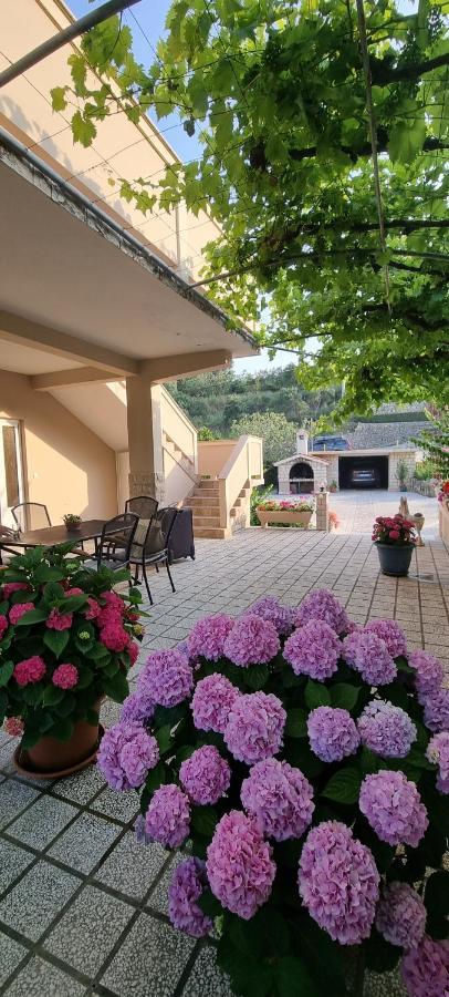 Apartman Anka Palit Extérieur photo
